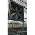 JP factory price greenhouse cooling pad /cooling exhaust fan for mushroom